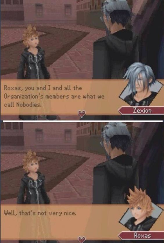Nobodies isn't a very nice name. Roxas and Zexion