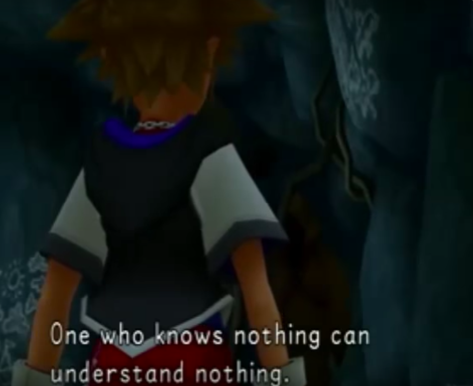One who knows nothing can understand nothing ansem kingdom hearts
