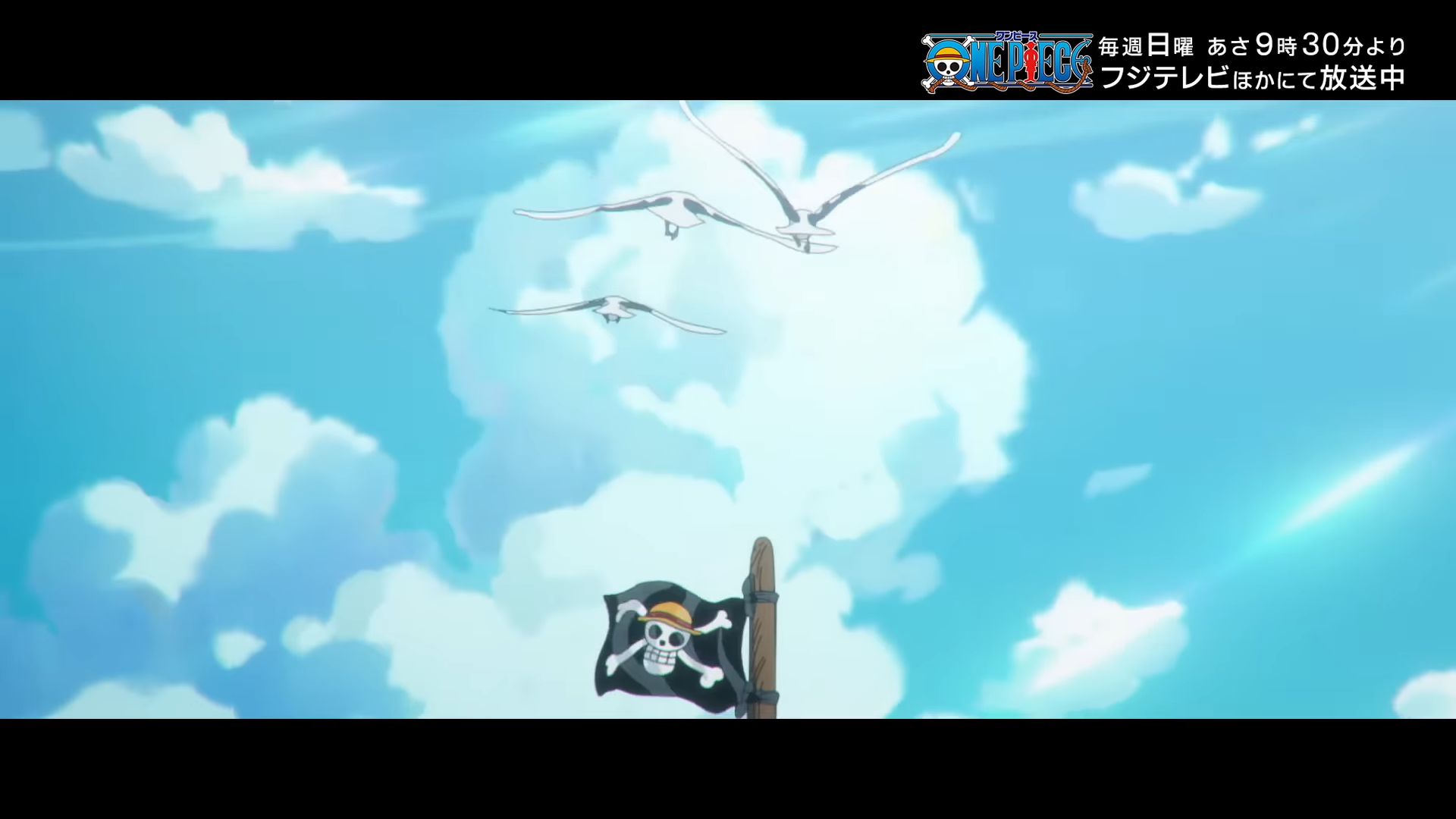 Screenshot from One Piece ED