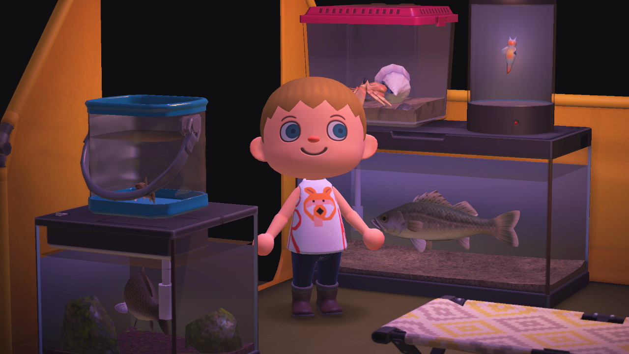 Buzz This: Which Animal Crossing Fish Are You Most Like? - Talk This!
